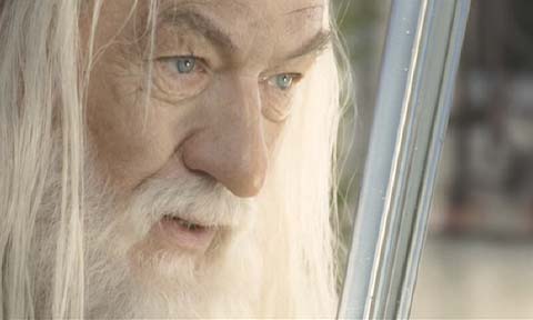 LOTR_King155IanMcKellen.jpg