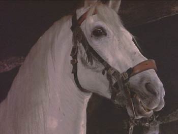 The Adventures of Baron Munchausen: The Baron's fierce and loyal white horse, Bucephalus.