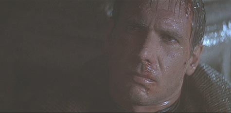 Blade Runner: Deckard watches Roy die.