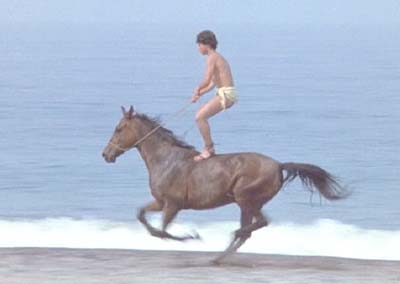 Clash of the Titans: Perseus' carefree childhood. I guess he'll be able to handle Pegasus after this.
