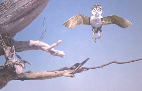 Clash of the Titans: The mechanical owl, Bubo, fashioned as a gift for Perseus by Hephaestus.