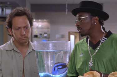 Deuce Bigalow: Male Gigolo: T.J. telling Deuce the facts of life.