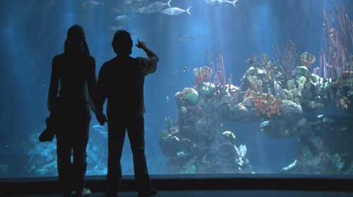 Deuce Bigalow: Male Gigolo: Deuce and Kate (Arija Bareikis) at the Aquarium.