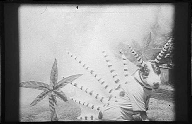 Frankenweenie : Sparky the Bull...