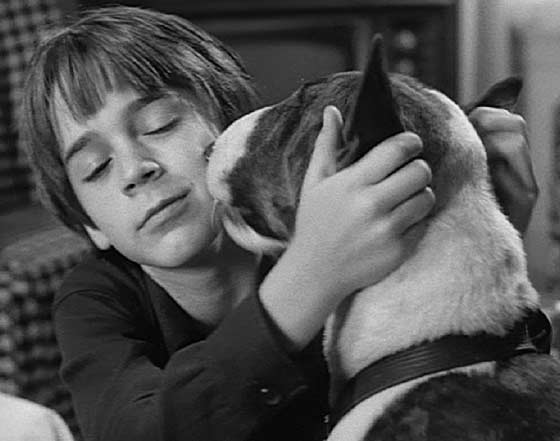 Frankenweenie: Victor and Sparky.
