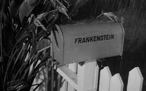 Frankenweenie: The Frankenstein mailbox - in case you missed the reference the first time.