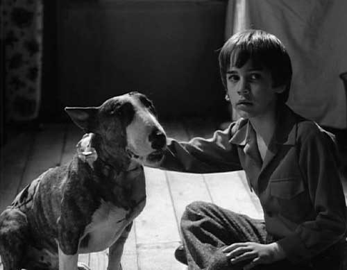 Frankenweenie: Victor tries to explain to his parents that Sparky is the same dog he always was.