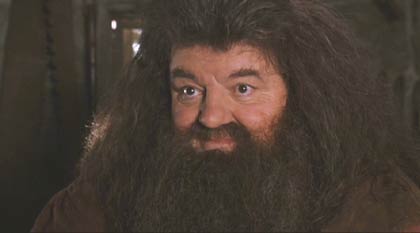 Harry Potter and the Chamber of Secrets: Hagrid consoles Hermione after Malfoy insults her.