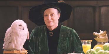 Harry Potter and the Sorcerer's Stone: Professor McGonagall has just sent Harry a Nimbus 2000.