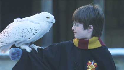 Harry Potter and the Sorcerer's Stone: Harry and his owl.