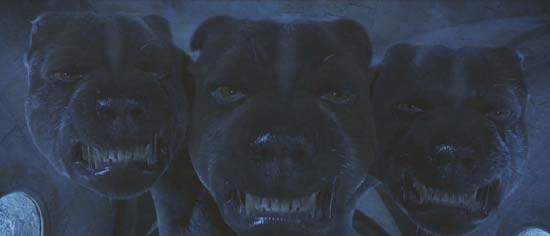 Harry Potter and the Sorcerer's Stone: Fluffy, everyone's favorite three-headed dog.
