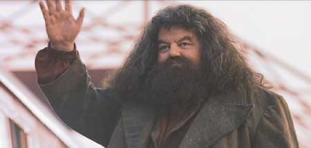 Harry Potter and the Sorcerer's Stone: Rubeus Hagrid, a guy who feels the way I do about pets.
