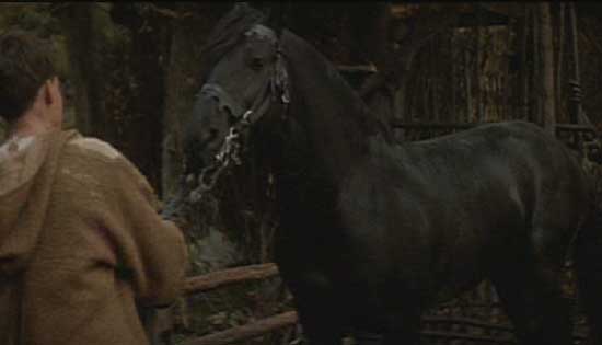 Ladyhawke: Mouse leading Goliath.