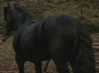 Ladyhawke: Goliath,  a rear three-quarters view.