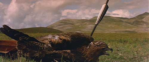 Ladyhawke: Ladyhawke was wounded in the battle.