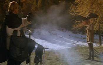 Ladyhawke: After their second night together, Ladyhawke returns to the Mouse's outstretched arm instead of Navarre's.