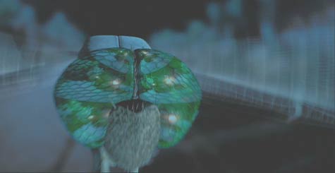Men in Black: One last look at the dragonfly before his sudden end...
