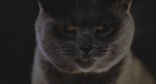 Stuart Little: Smokey (voiced by Chazz Palminteri), the local muscle.