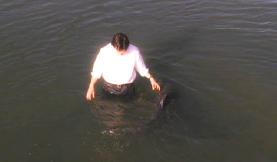 Big Fish: Will looks on as his father becomes the big fish and swims away.