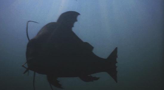 Big Fish: The star of Ed Bloom's last fish story.