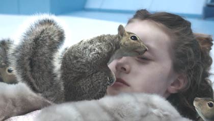 veruca salt squirrels veruca salt squirrels