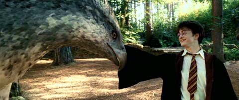 Harry Potter and the Prisoner of Azkaban: Harry touching Buckbeak the hippogriff for the first time.