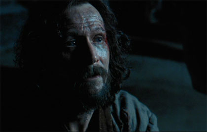 Harry Potter and the Prisoner of Azkaban: Gary Oldman as Sirius Black. Hollywood likes to use Oldman as as a bad guy, but he's got a lot range and it's nice to see him using it.