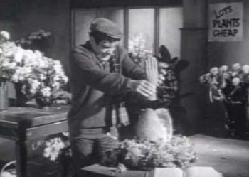 The Little Shop of Horrors (1960): Poor Seymour (Jonathan Haze), feeding his plant.