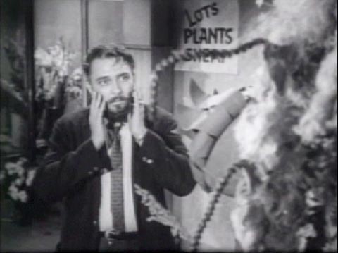 The Little Shop of Horrors (1960): Gravis Mushnik (Mel Welles) is not having a good day.