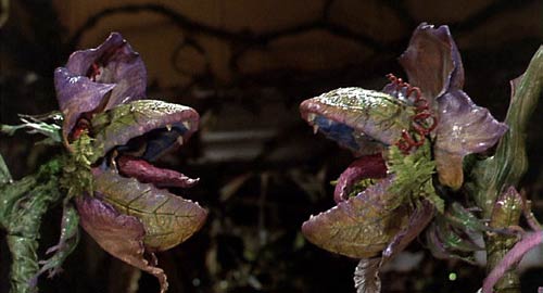Little Shop of Horrors (1986): Little singing plantlets.