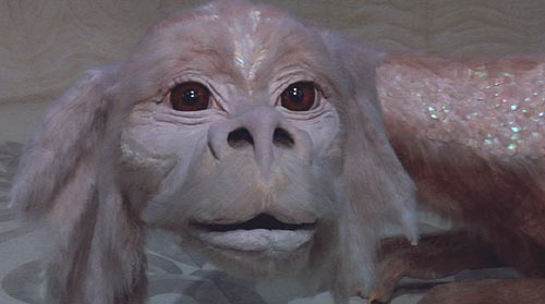 The NeverEnding Story: Falkor the Luck Dragon