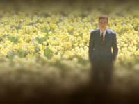 Big Fish
