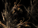 Brush
