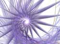 Heart Of Matter; isn't it gorgeous?