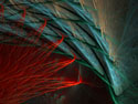 Sensory_Allure