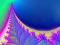 Blue Fern