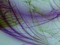 Have you seen the map in the Gilliam movie, Time Bandits?  This one makes me think of that.