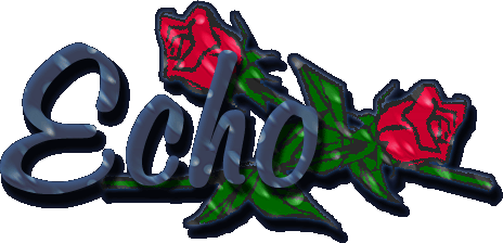 Echo