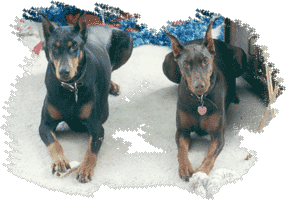 Mako and Echo: Heads up